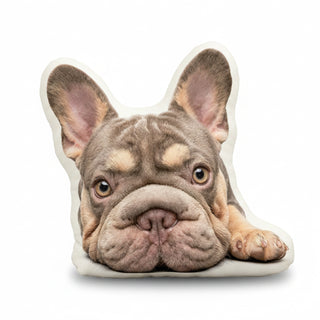 Custom Shaped Pet Pillow-Unique Gift for Pet Lovers