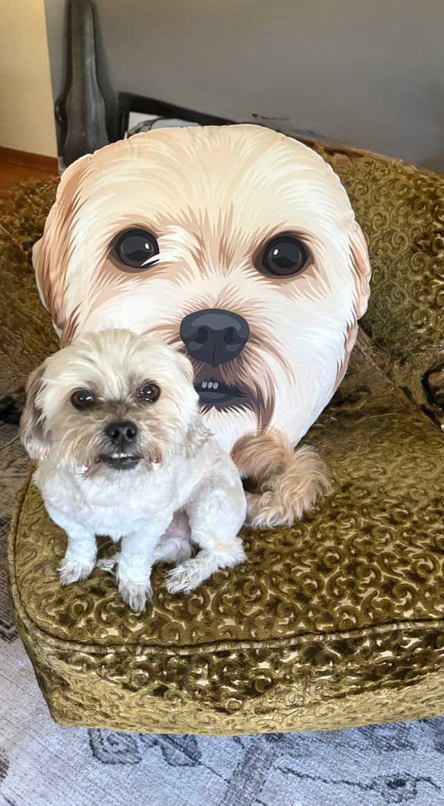 Custom pet gift review photo